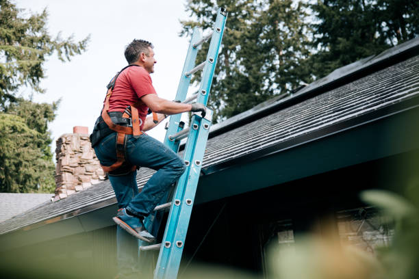 Fast & Reliable Emergency Roof Repairs in Albertville, MN